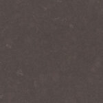 4120_Raven