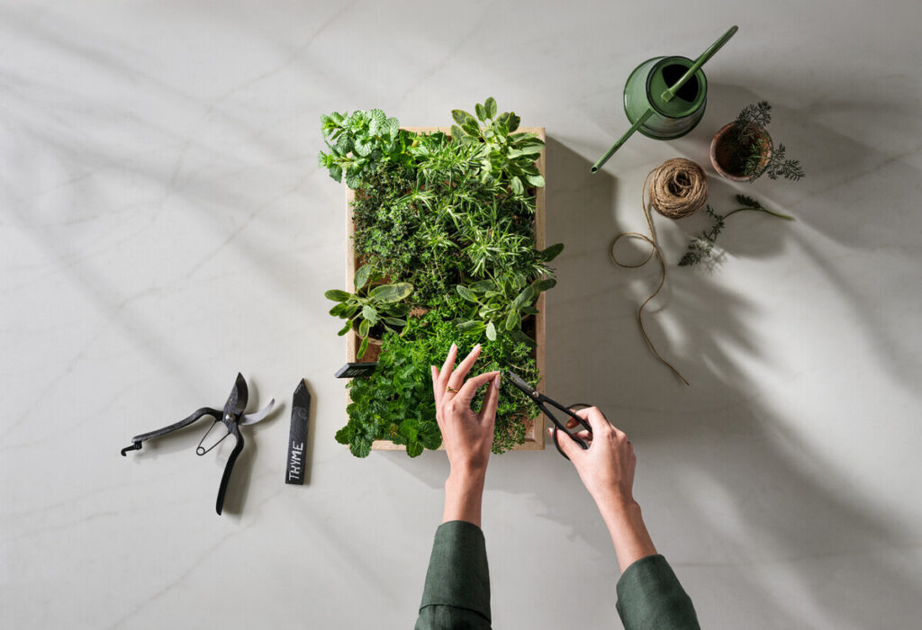 Caesarstone 8101 Clearligh
